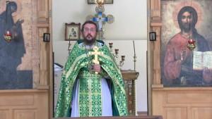 Чему подобно Царствие Небесное.Священник Игорь Сильченков.